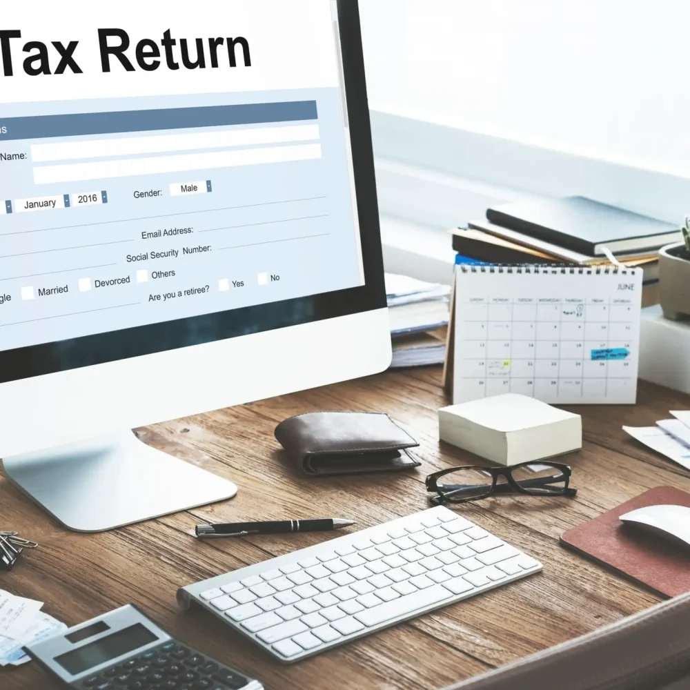 Tax consultant helping client file income tax return